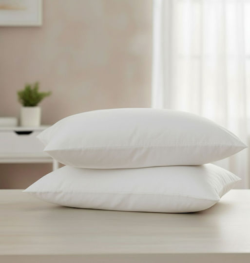 Olia Home Hotel Pillowcase Made of Cotton & Polyester 72x52cm
