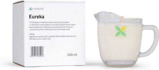 Habys Κερί Εύρηκα Αρωματικό Καφέ