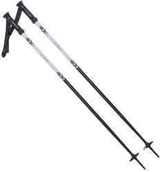 Alpine Ski Ii Poles