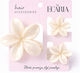 Ecarla 3-in-1 Hair Clip Set Xl Flower + 2 Mini Clips Sp442