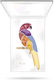 Pupa Parrot Παλέτα με Σκιές Ματιών σε Στερεή Μορφή 14.8gr