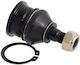 Febest Vorderseite Unterer Steuerarm Nissan Primera P11e 1996.06-2002.01 El 54500-wa600