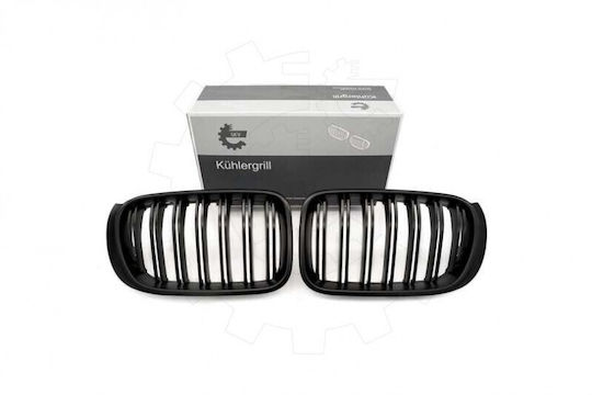 SKV BMW X3 (F25) Car Decorative Mask