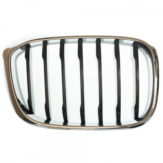 ABC Parts Car Decorative Mask BMW X3 (G01)