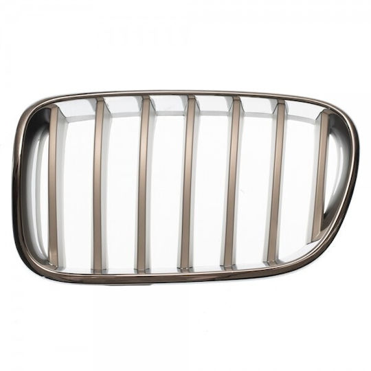 ABC Parts Διακοσμητική Μάσκα Αυτοκινήτου BMW X3 (F25)