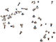 Apple Iphone 5 Screw Full Set Screws