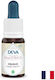 Fear Insecurity Janka Bach Flower Drops 15 Ml
