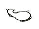 Fast Wasserpumpe Dichtung Ford Transit Connect 02 1.8 Tdci 1 113 213