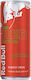 Red Bull Energy Drink Watermelon with Carbonati...