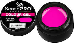 SensoPro Gel UV Colorat Pentru Unghii Orhidee F...