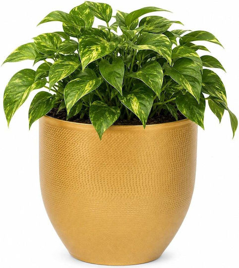 Metall Pflanzentopf Gold