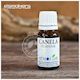 Atmoslab Άρωμα Canela Cinnamon 10ml 1τμχ