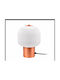 Luma Decorative Lighting LED Warm White 3000K