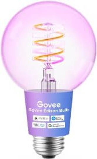 Govee Smart Λάμπα LED για Ντουί E27 και Σχήμα G80 500lm