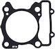 Yamaha Cylinder Base Gasket X-max 300cc 2018-2025 Genuine Best Quality Fit