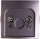 Kontakt-simon Basic R-tv Antenna Socket 10db In...