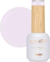 Luxorise Rubber Base Luxorise Rubber Base