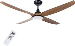 Life Grande Apeliotes 142.24cm with Light Brown / Black Life Grande Apeliotes 142.24cm with Light Brown / Black