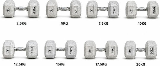 MegaFitness Elite Шестоъгълна дъмбел 1 x 2.5kg
