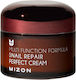 Mizon Snail Repair Perfect Cream Moisturizing Face Cream with Niacinamide & Snail Slime 50ml