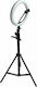 Andowl Ring Light 26cm 3200 - 5600K με Τρίποδο Δαπέδου και Βάση για Κινητό