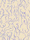 Poster Matisse Blue Lined Bodies Art023 40cm X 50cm-55987pd156876
