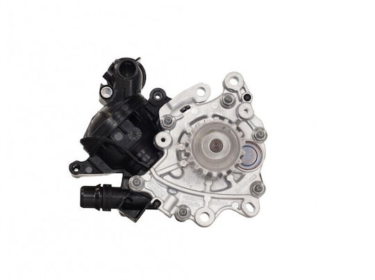 OE PSA Auto-Wasserpumpe Für Citroen Springend