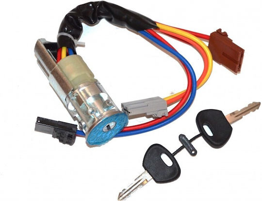 Ignition Switch Citroen Berlingo 96 2-Pin + 2-Pin + 2-Pin 4162.w4