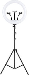 Andowl Ringlicht 18cm und Handyhalterung Andowl Ringlicht 18cm und Handyhalterung