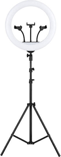 Andowl Ring Light 18cm και Βάση για Κινητό