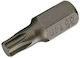 Condor Torx 10 Mm 3/8 T40 X 30 Mm