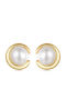 Daskalakis Silver Gold Plated Stud Earrings with Blue Pearls