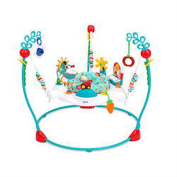 Baby Einstein Baby Jumper