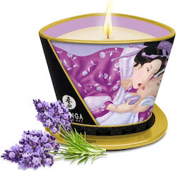 Shunga Massage Kerze 170ml Shunga Massage Kerze 170ml