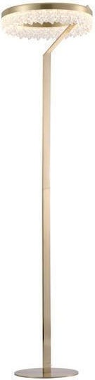 Eurolamp Arte Illumina Glory LED Floor Lamp H160xL40cm with Warm White Light 2100lm Gold