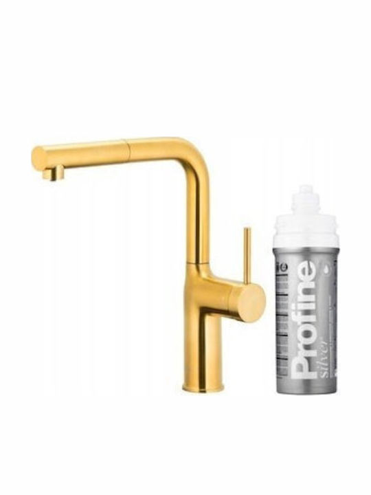 KFA Duero Pure Move Pull-Out Profine Silver S Kitchen Faucet Counter with Pull-Out Spray Gold