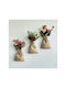 SteweHome Wall Decor Multicolour Wooden 3 Pieces