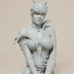Unpainted 3D Figure Catwoman Pin Up Models Painting Diy Gift Colors 15.2 Cm 1:12