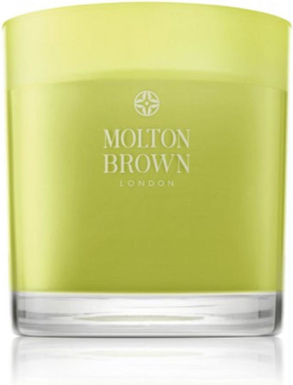 Molton Brown Lumânare parfumată Dewy Lily Valley & Star Anise Floral Woody Musk 480 G Molton Brown Lumânare parfumată Dewy Lily Valley & Star Anise Floral Woody Musk 480 G