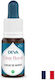 Erleben Trennung Starke Abhängigkeit Weibliches Herz Bach Methode Drops 15 Ml