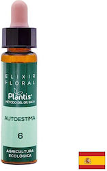 Wild Apfel Rote Johanniskraut Blütenessenzen Wohlbefinden Kombinierte Drops Nach Dr Bach Methode 10 Ml