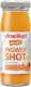 Voelkel Bio-Saft 95ml