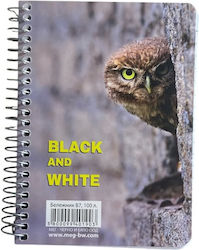 Black & White Hawk Σπιράλ Ριγέ