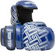 Top Ten Pointfighter 21658.S.Blue Boxing Gloves Made of Synthetic Leather for Competition Blue