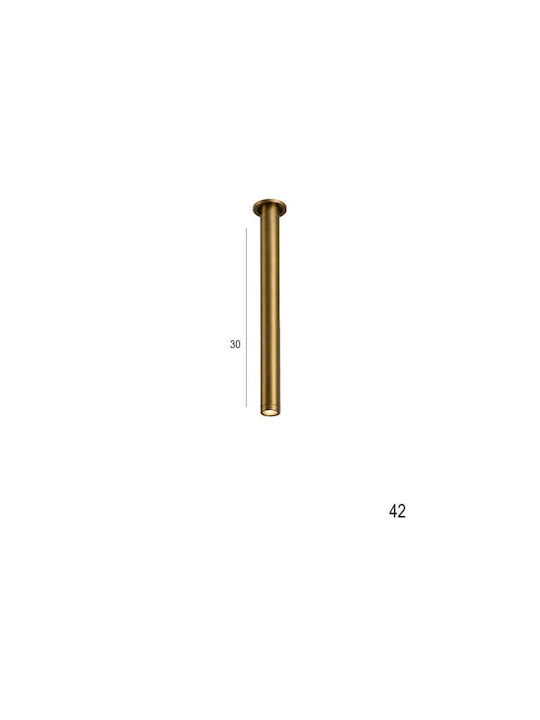 Luma Metallic Recessed Spot with Built-in LED and Warm White Light Gold