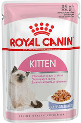 Royal Canin Kitten Wet Cat Food for Junior Cats...