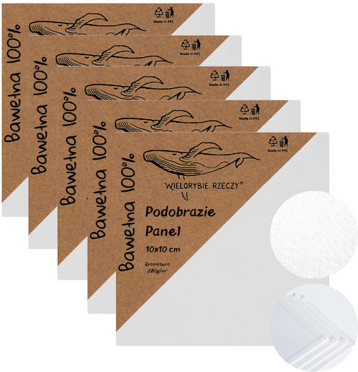 Painting Canvas 10x10 White Stretched Canvas Painting Painting Panel 5 Pcs