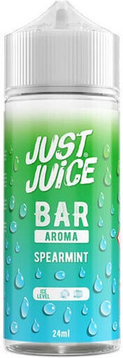 Just Juice Flavor Shot 24ml/120ml 1τμχ Spearmint Flavour