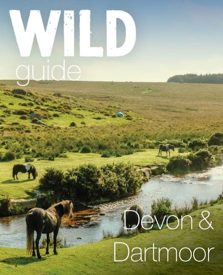 Wild Guide Devon & Dartmoor - Wild Things Publishing Ltd - Paperback / Softback
