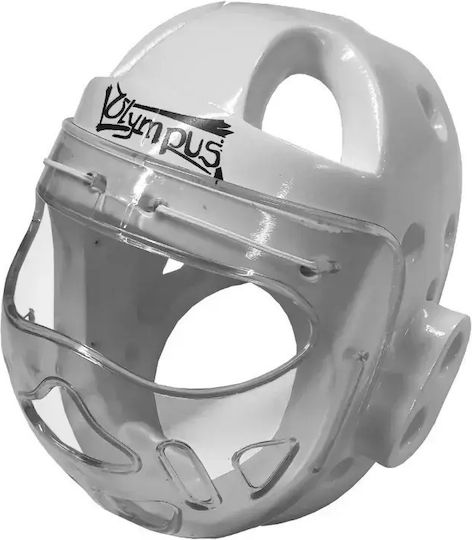 Foam Headgear Full Protection Pc Mask Blue